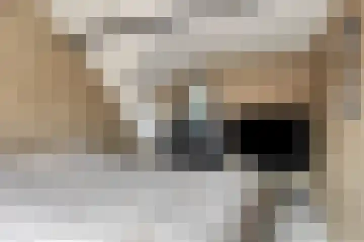 Molenstraat 17 Bruinisse thumbnail 18