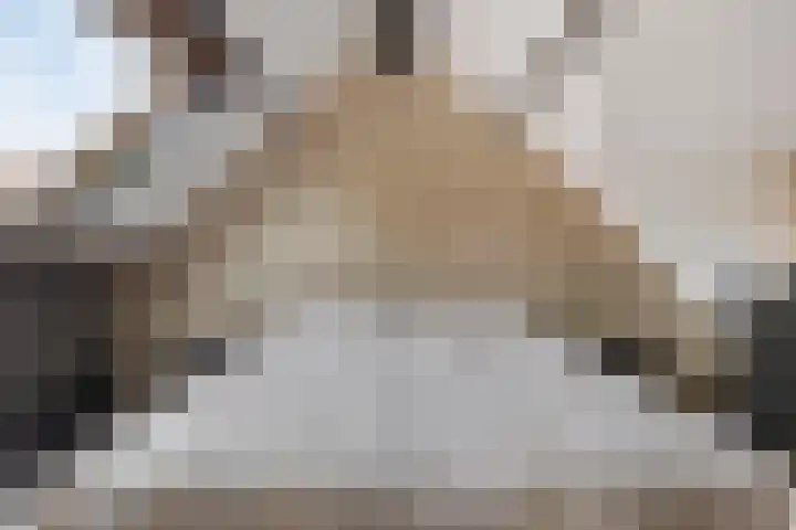 Molenstraat 17 Bruinisse thumbnail 19
