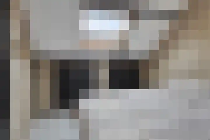 Molenstraat 17 Bruinisse thumbnail 20
