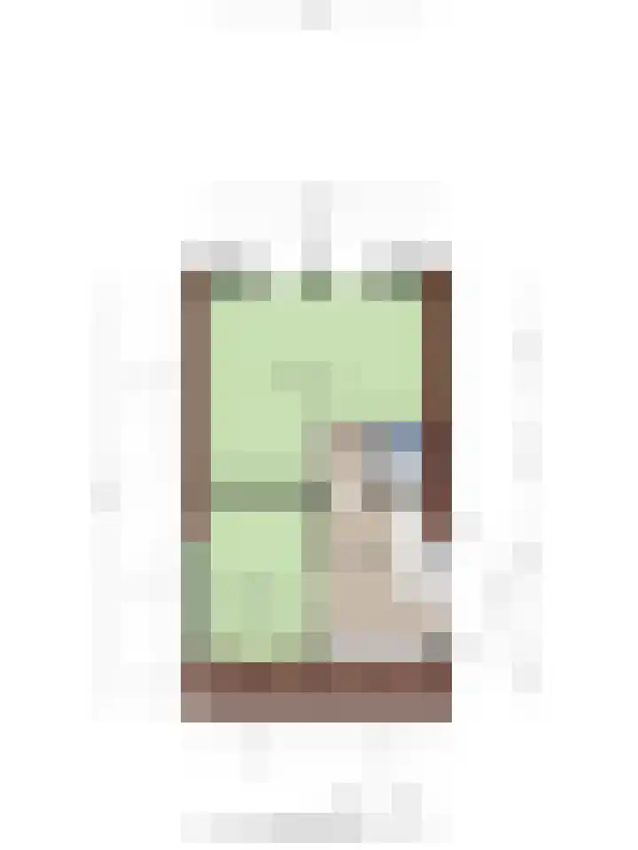 Molenstraat 17 Bruinisse thumbnail 24