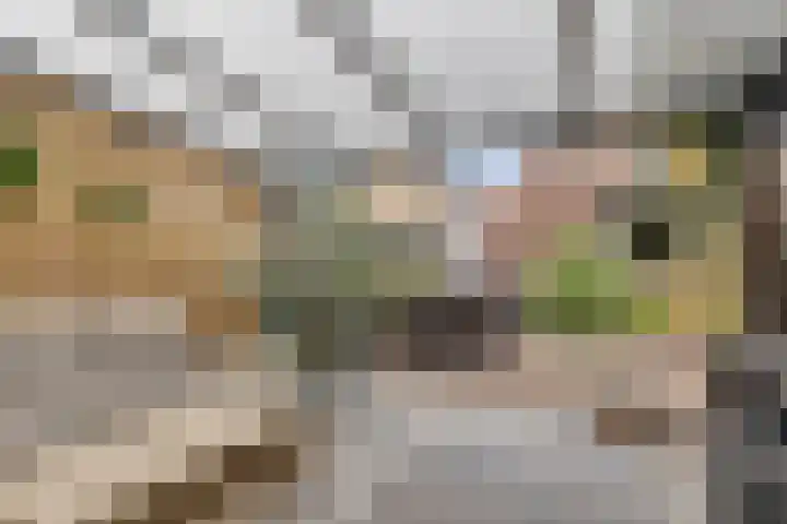 Molenstraat 17 Bruinisse thumbnail 31