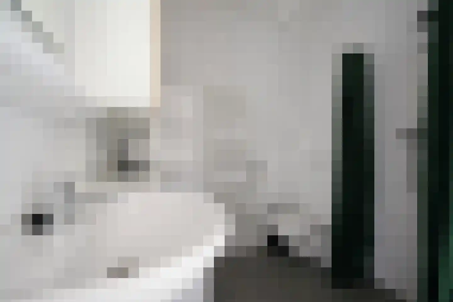 Molenstraat 17 H Putten thumbnail 18