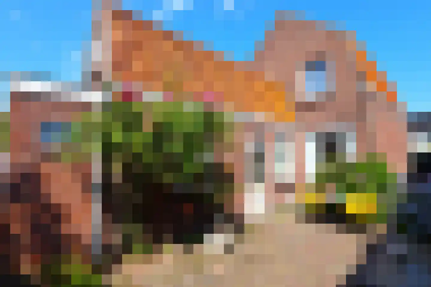 Molenstraat 17 Oosterhout thumbnail 13