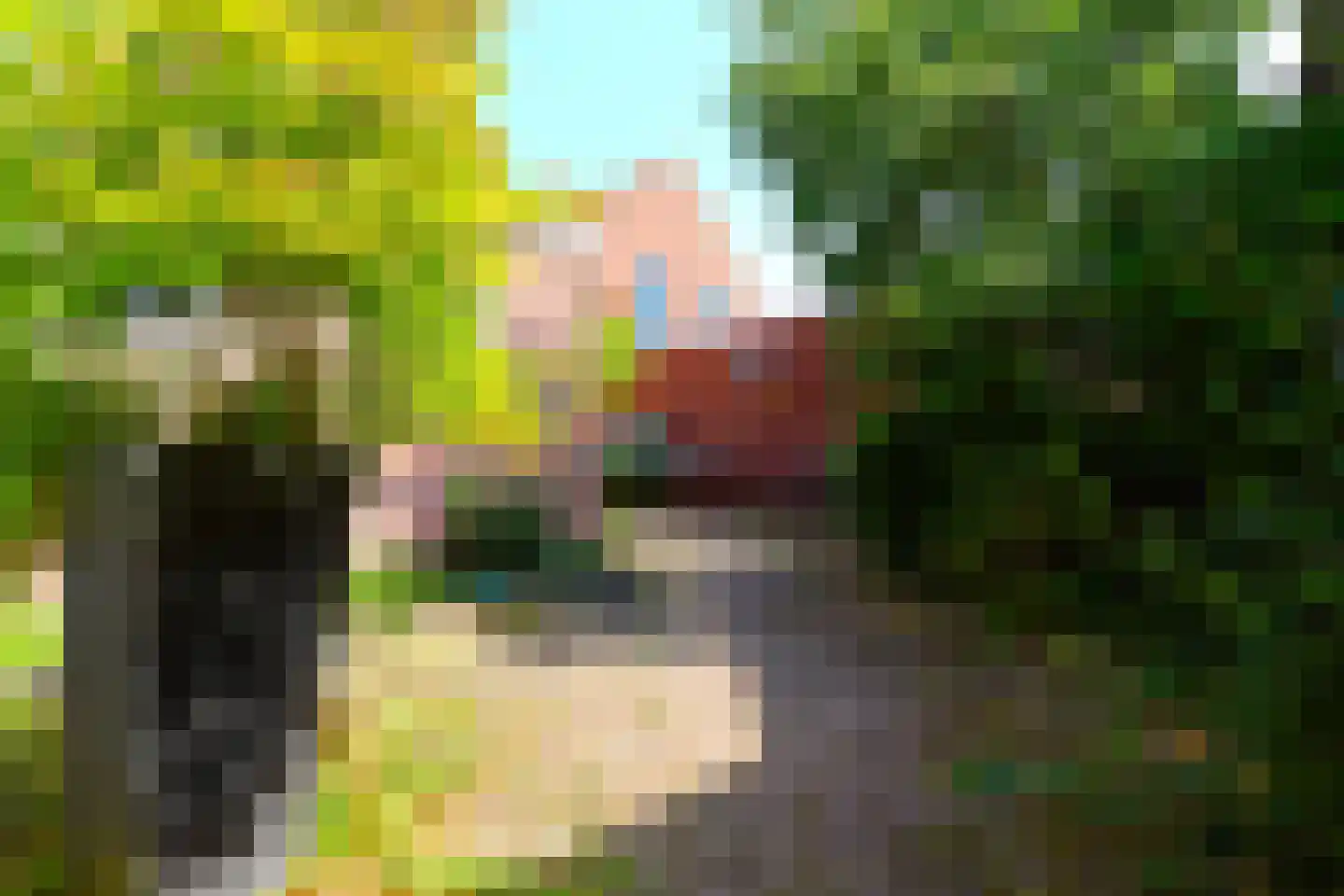 Molenstraat 17 Oosterhout thumbnail 14