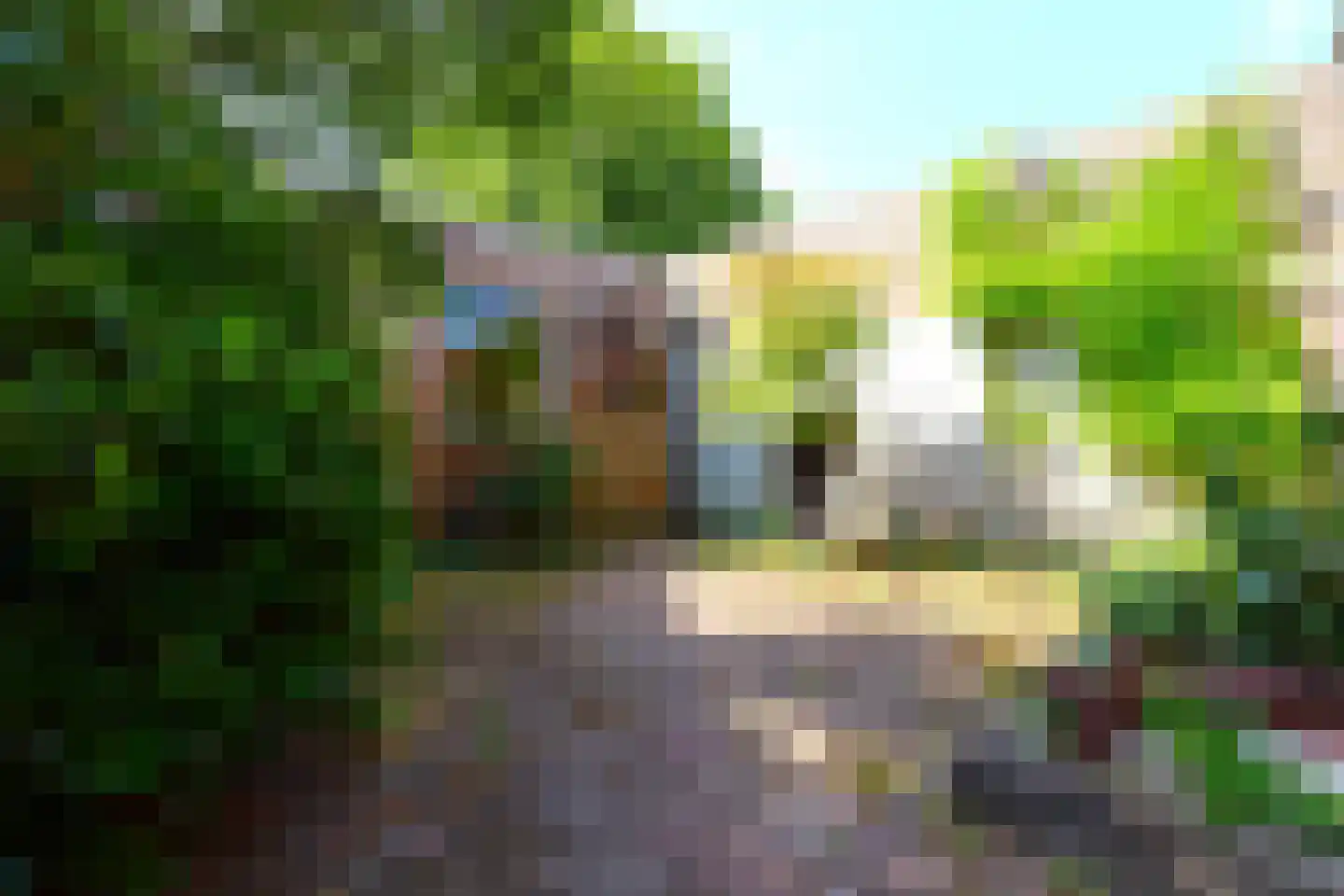 Molenstraat 17 Oosterhout thumbnail 15