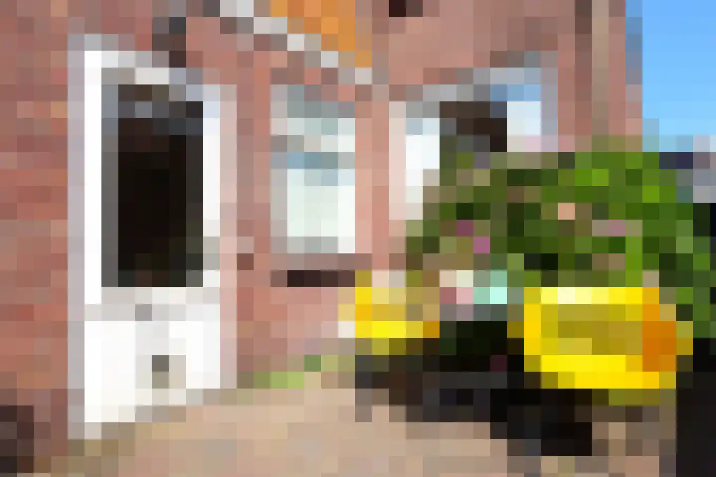 Molenstraat 17 Oosterhout thumbnail 19