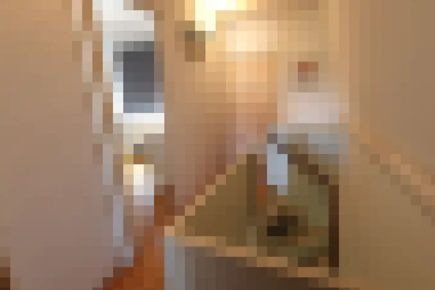 Molenstraat 17 Oosterhout thumbnail 21
