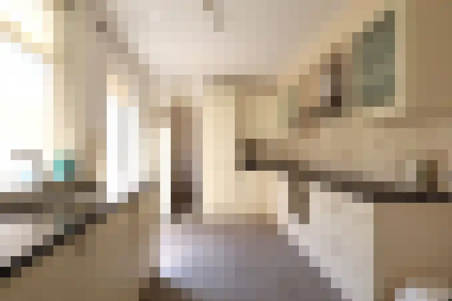 Molenstraat 17 Oosterhout thumbnail 7