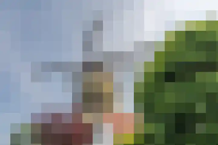 Molenstraat 17 Poortvliet thumbnail 34