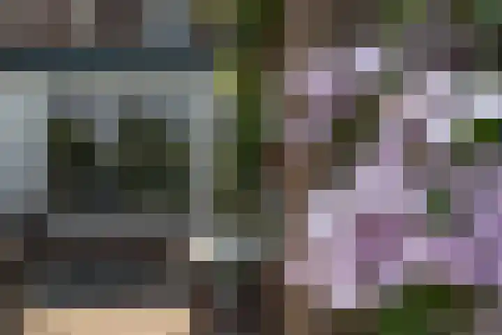 Molenstraat 17 Poortvliet thumbnail 6