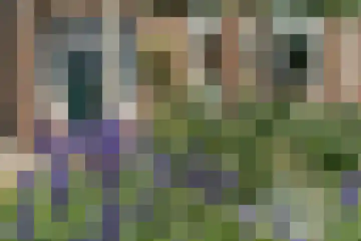 Molenstraat 17 Poortvliet thumbnail 9