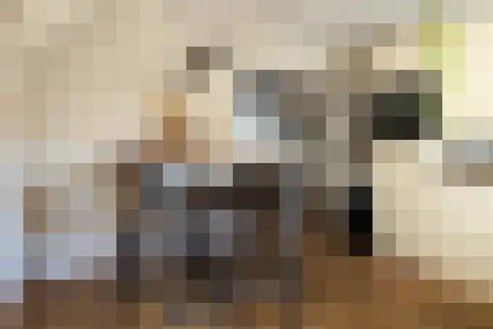 Molenstraat 17 Raamsdonk thumbnail 10