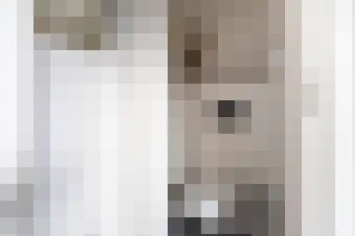 Molenstraat 17 Raamsdonk thumbnail 12