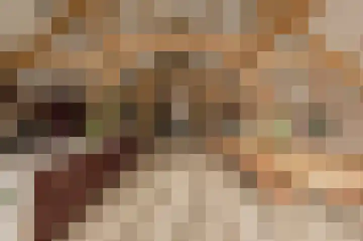 Molenstraat 17 Raamsdonk thumbnail 18