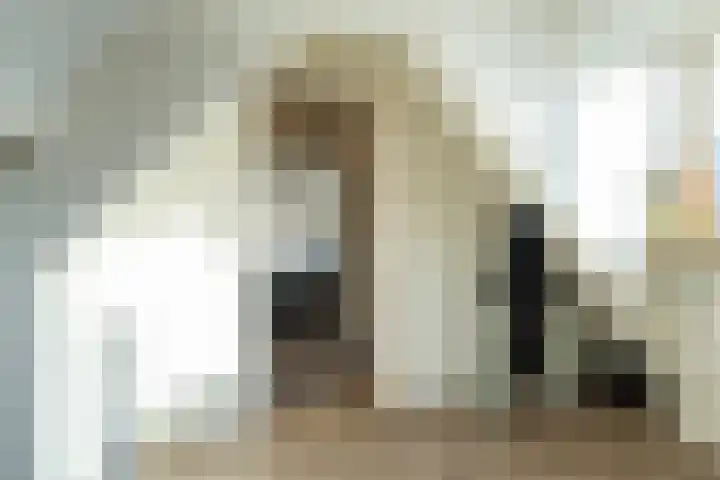 Molenstraat 17 Raamsdonk thumbnail 20