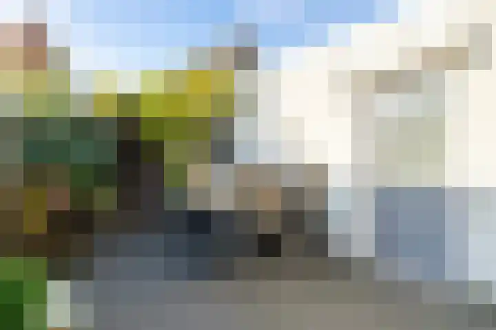 Molenstraat 17 Raamsdonk thumbnail 21