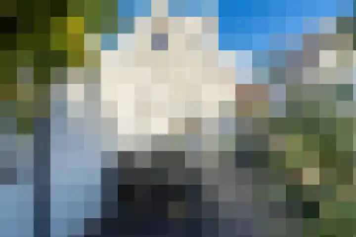 Molenstraat 17 Raamsdonk thumbnail 22