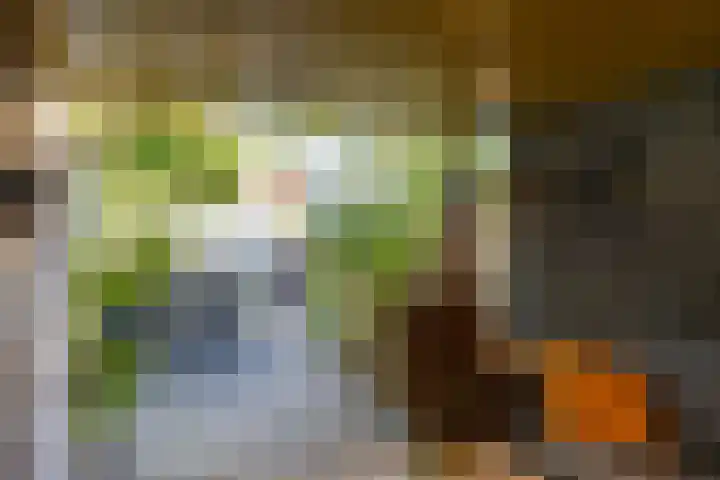Molenstraat 17 Raamsdonk thumbnail 23
