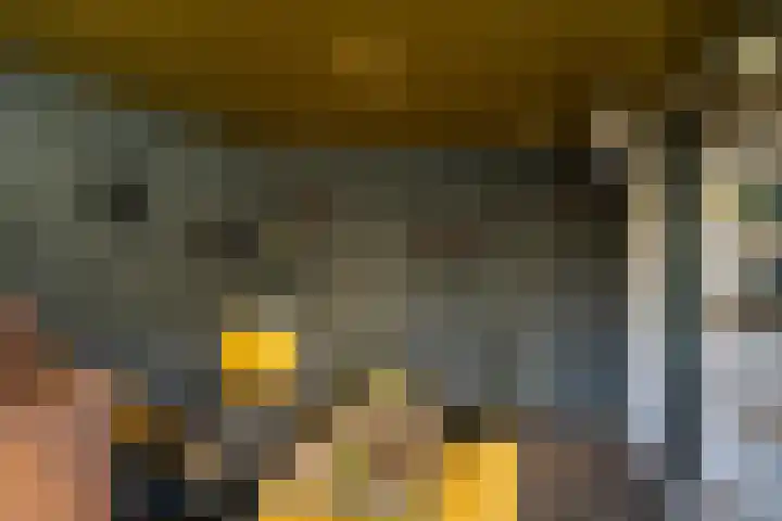 Molenstraat 17 Raamsdonk thumbnail 24