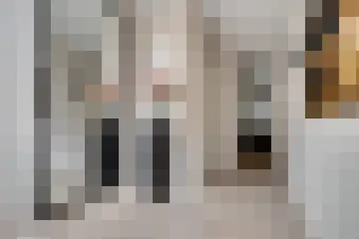 Molenstraat 17 Sint-Maartensdijk thumbnail 17