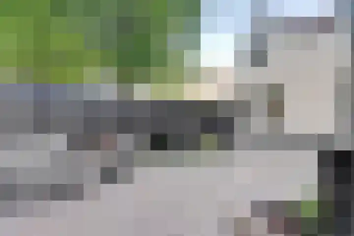 Molenstraat 17 Sint-Maartensdijk thumbnail 36