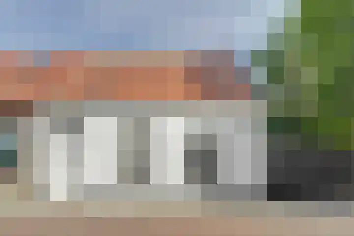 Molenstraat 17 Sint-Maartensdijk thumbnail 41