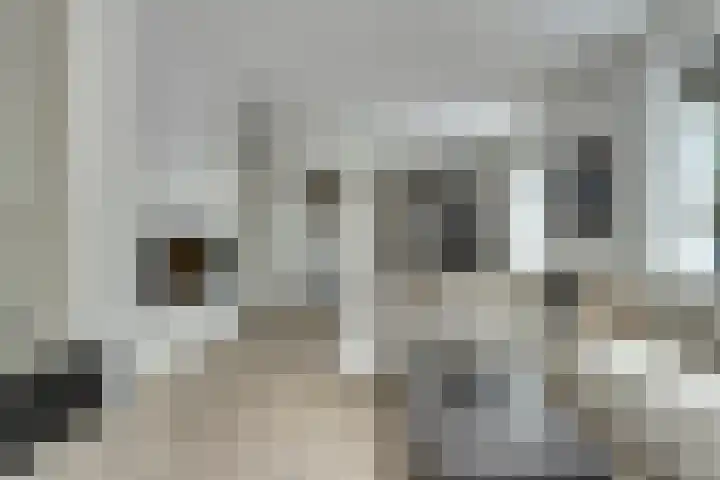 Molenstraat 17 Sint-Maartensdijk thumbnail 6