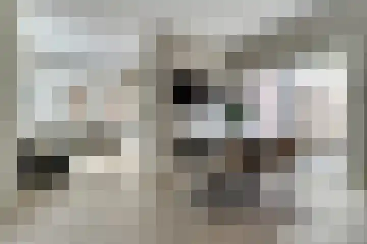 Molenstraat 17 Sint-Maartensdijk thumbnail 7