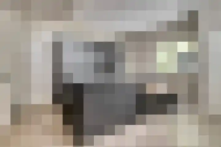 Molenstraat 17 Sint-Maartensdijk thumbnail 8