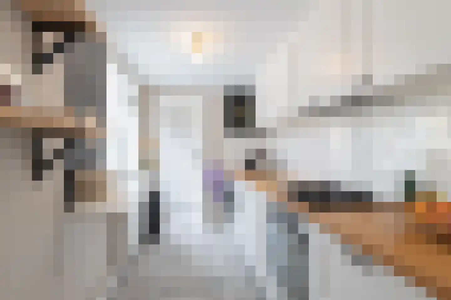 Molenstraat 17 Zuidhorn thumbnail 18