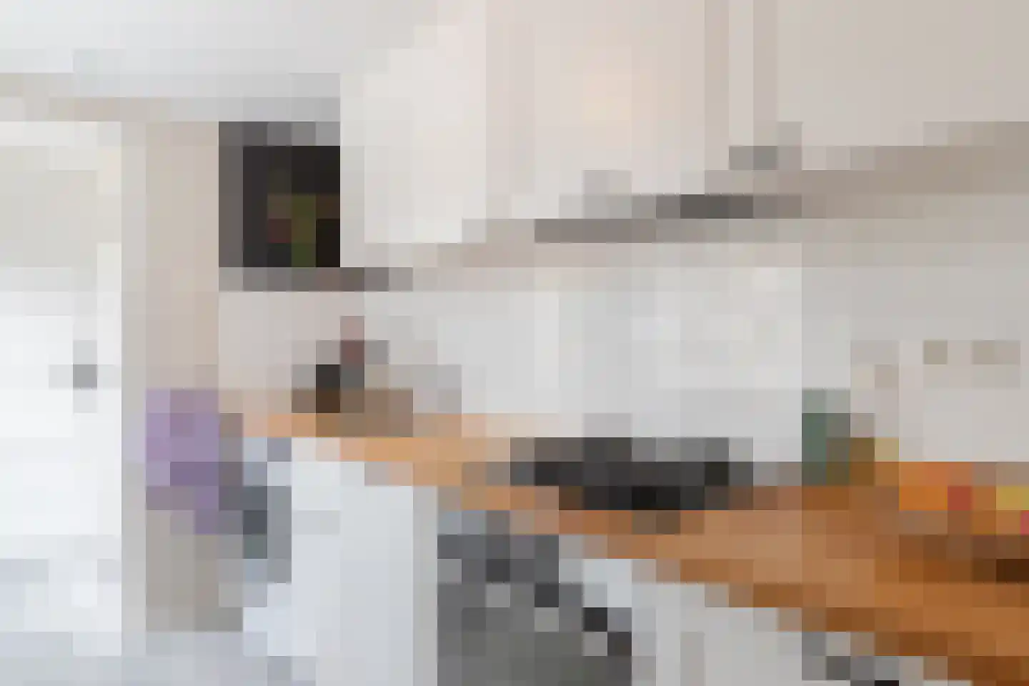 Molenstraat 17 Zuidhorn thumbnail 19