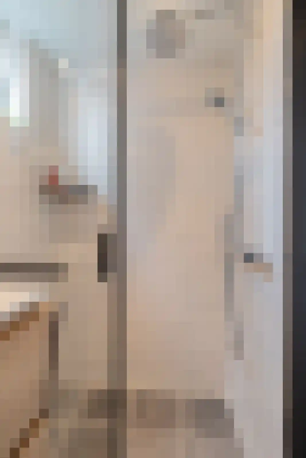Molenstraat 17 Zuidhorn thumbnail 22