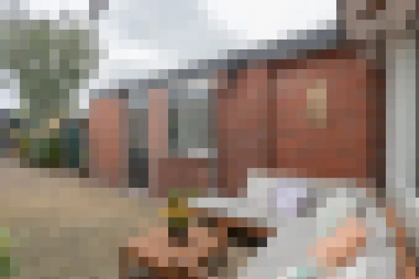 Molenstraat 17 Zuidhorn thumbnail 28