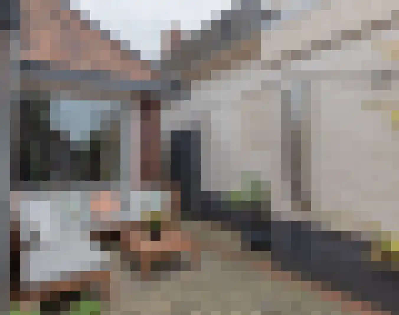Molenstraat 17 Zuidhorn thumbnail 39