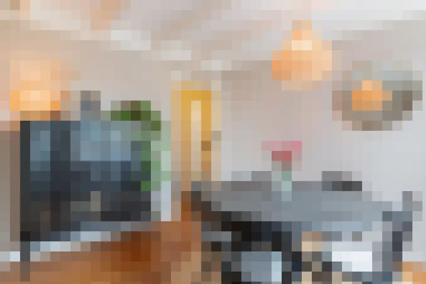 Molenstraat 17 Zuidhorn thumbnail 9
