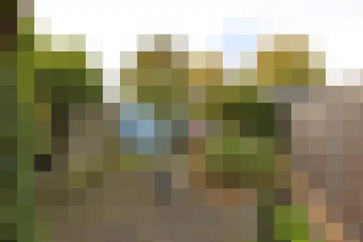 Molenstraat 171 Assen thumbnail 31