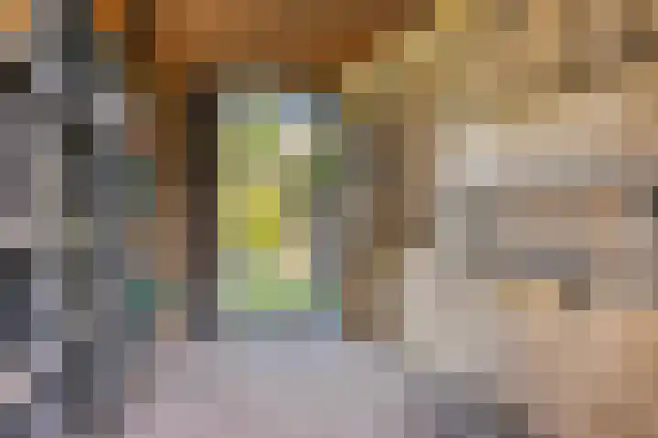 Molenstraat 174 Assen thumbnail 43