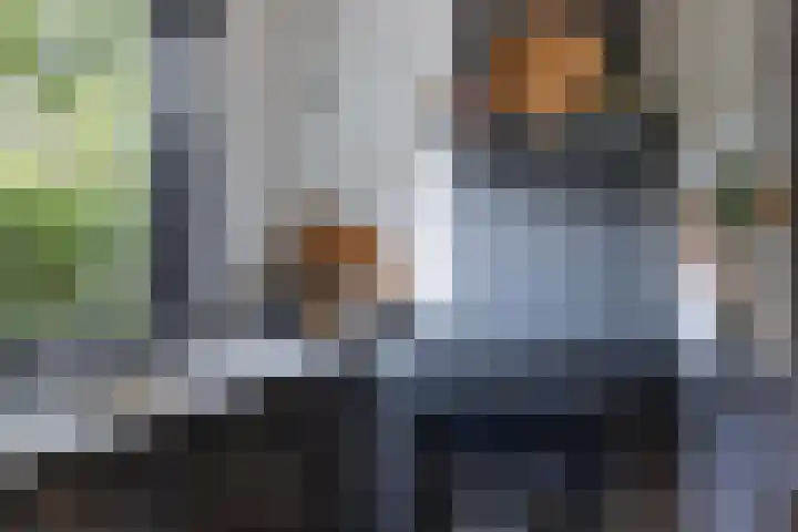 Molenstraat 18 Eerbeek thumbnail 22