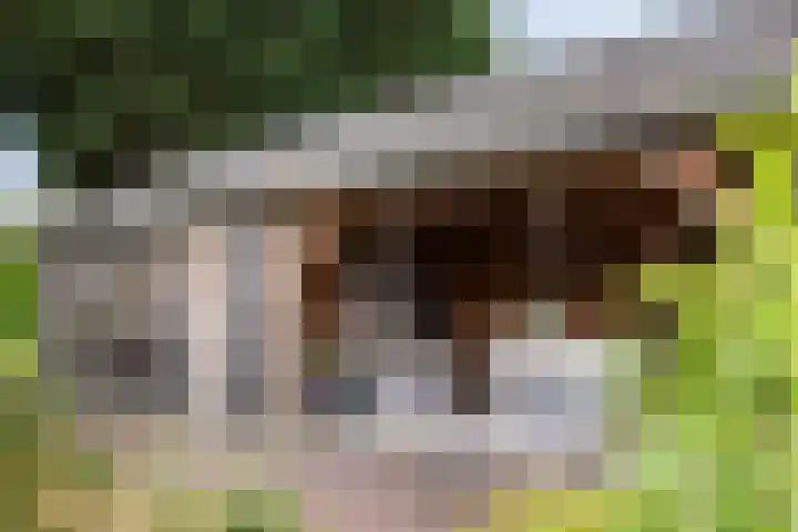 Molenstraat 18 Eerbeek thumbnail 35