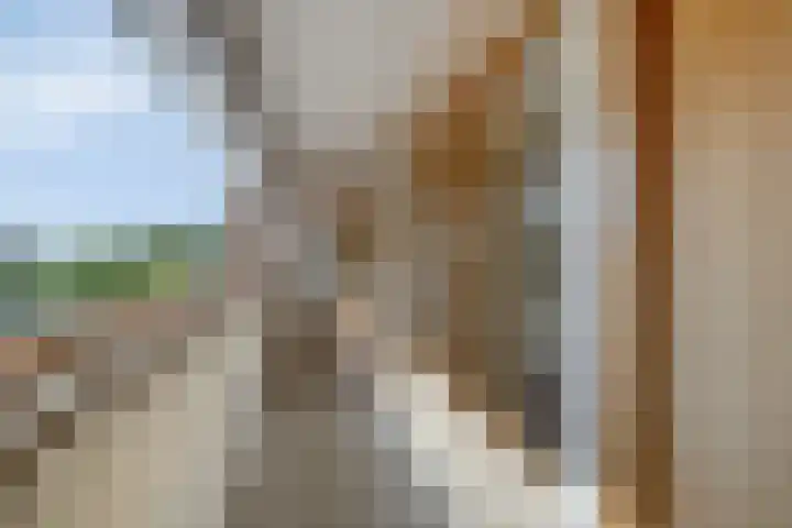 Molenstraat 18 Grijpskerke thumbnail 24
