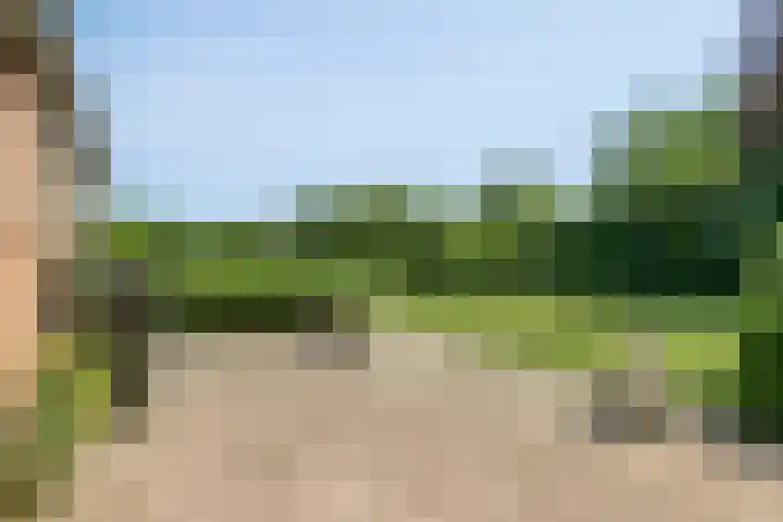 Molenstraat 18 Grijpskerke thumbnail 31