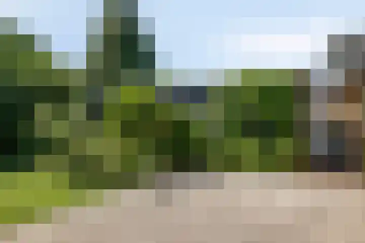 Molenstraat 18 Grijpskerke thumbnail 32