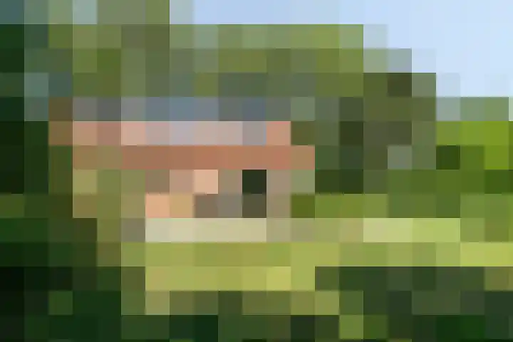 Molenstraat 18 Grijpskerke thumbnail 34