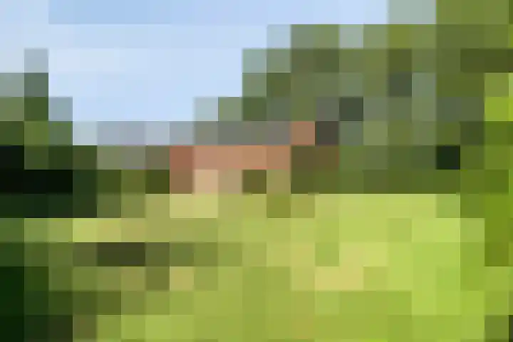 Molenstraat 18 Grijpskerke thumbnail 35