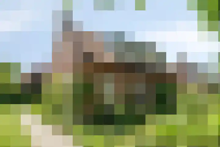 Molenstraat 18 Grijpskerke thumbnail 36