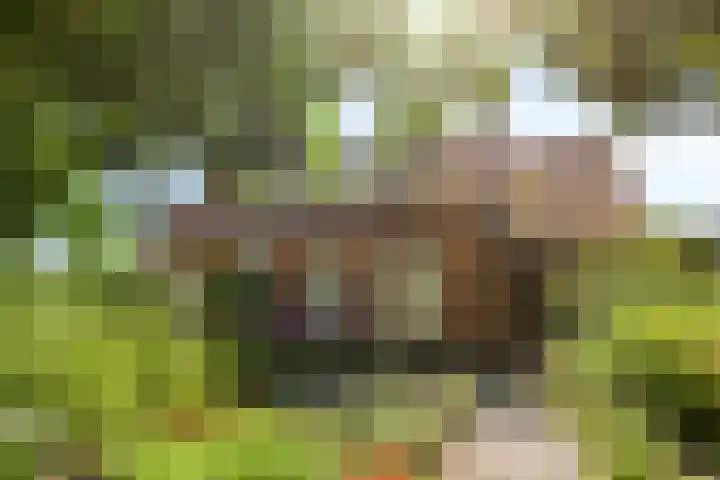 Molenstraat 18 Grijpskerke thumbnail 37