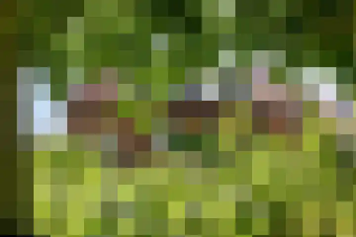 Molenstraat 18 Grijpskerke thumbnail 38