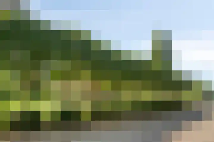 Molenstraat 18 Grijpskerke thumbnail 39