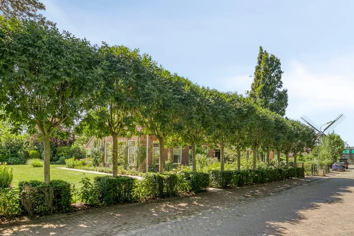 Molenstraat 18 Grijpskerke thumbnail 39