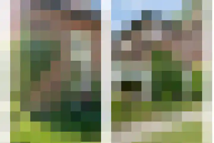 Molenstraat 18 Grijpskerke thumbnail 5